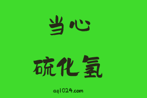 2019 瓮福达州化工有限责任公司“3.3”较大气体中毒事故调查报告